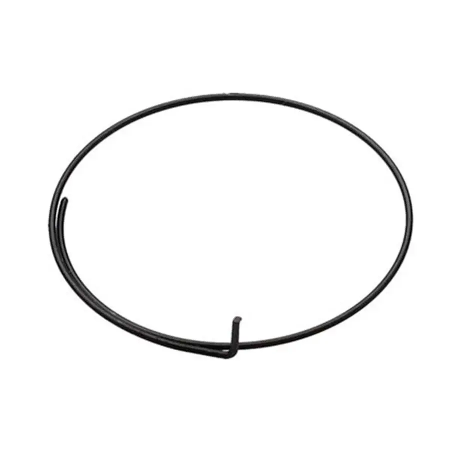 MOLA PARA CEPO DT SWISS RETAINER SPRING RETAINER SPRING