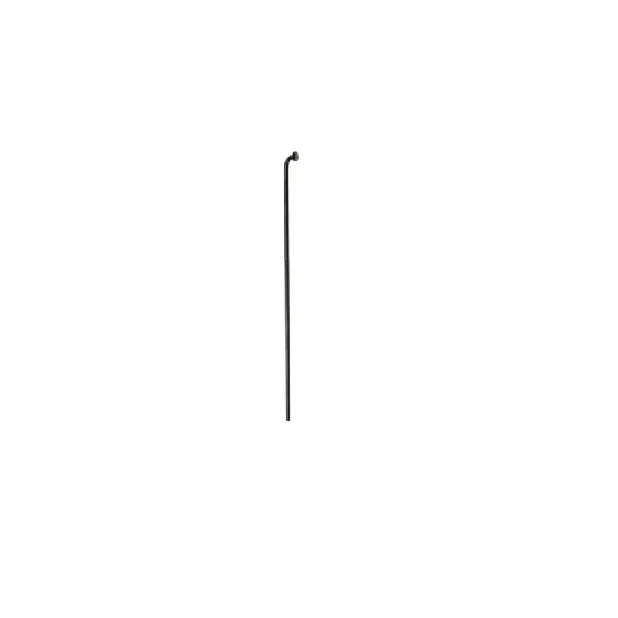 RAIOS DT CHAMPION 2.0X290 12MM 20PC PRATA